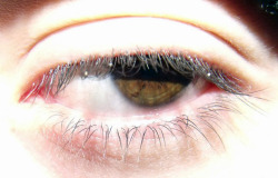 drinkstruction:  My eye. 