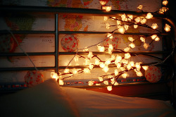 want these pretty lights.