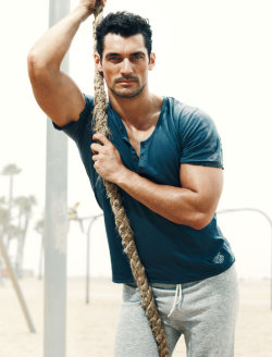 yellowasian:    David Gandy | Norman Jean Roy 