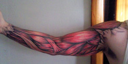inkarmy:  SOLDIERS: Check out this Anatomical tattoo! See more