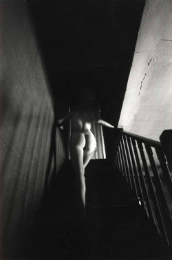 jeanloup sieff (1933-2000) // nude, paris 1975