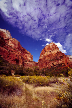 “Impending Zion”, as we began our hike up to Angel’s