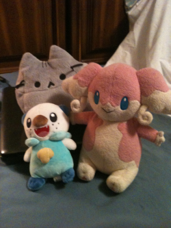 Mebunne and oshaboo hang out with pusheen