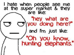 mydarlingjayne:  asluttychair:  but i do hunt elephants…….