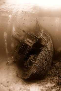 madeofmorninglight:  nevver:  Wreck  eerie 