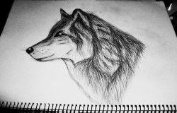 pugznotdrugz:  Boredom on a Friday night :-)  holy crap