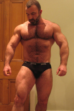 Hot Muscle Bears