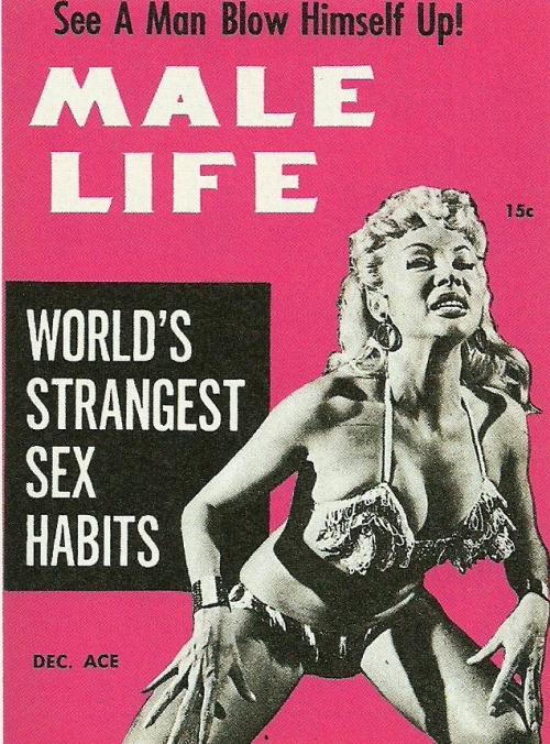 Lilly Christine (aka. “The Cat Girl”) graces the cover of an issue of ‘MALE LIFE’ magazine; a popular 50’s-era Men’s Pocket Digest..