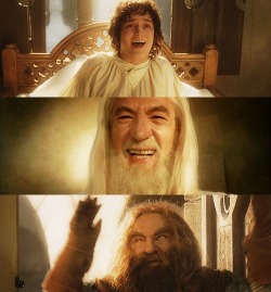 demon-of-the-fall:   30 days of Lord of the Rings. Day 17→ A