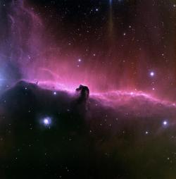 n-a-s-a:  This exceptional image of the Horsehead nebula was