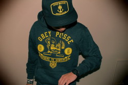 obey the rules ▲
