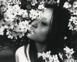 diafano:  “Where have all the flowers gone?” - Liu Xu photographed