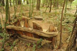 wonderlanephoto:  Hand-hewn bench with curved natural wood, sitting
