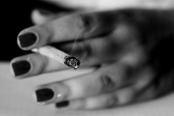 lepassager noir