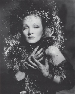 wehadfacesthen:  Marlene Dietrich, 1940, in a publicity shot