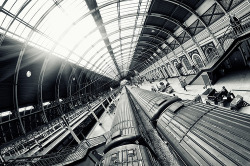 black-and-white:  Paddington (by martinturner) 