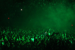  Aziz Ansari crowdsurfing at LCD Soundsystem’s last show 
