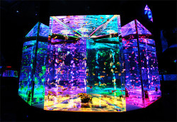 the-iridescence:  Rainbow Color Aquarium Sky Aquarium, Roppongi