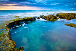 thiswillbemarinnasnewblog:  “specks of foam dance across the