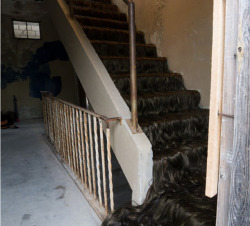 d3thray:  Hairy Staircase by Jessica Wohl 