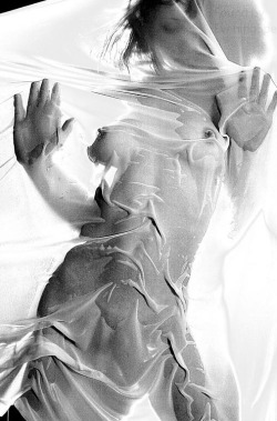 jaynesworld.tumblr.com/post/12571211002/