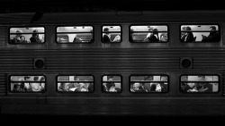 black-and-white:  windows (by jamopo [peter davis]) 