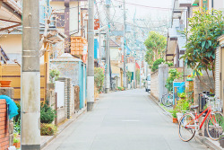 chickabiddy:  Near Musashino Art University (by naosuke ii) 