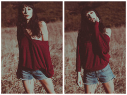 sweaterpuppies.tumblr.com/post/44612974099/