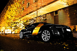 automotivated:  Black and Gold (by toffi:xc)
