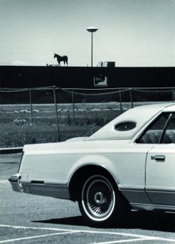 Fargo, New Dakota June 17th, 1978 photo by André Kertész