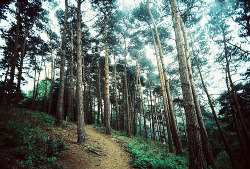 amndaax.tumblr.com/post/22138723693/