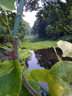 snapshotsbyz:  Eco Park near Fairview. Great way to spend a balmy