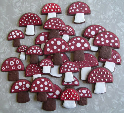  Mushroom Cookies  