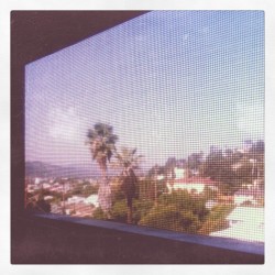View out the window from my pillow, waking up. (Taken with instagram)