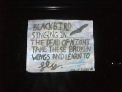 dropsofjupiteronmywindow:   Blackbird 