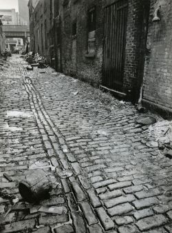 liquidnight:  Berenice Abbott Charles Lane Between West and Washington