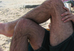 fuckyeah hairylegs