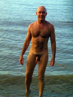 guyzbeach:  Follow Guyzbeach: a collection of natural men naked at the beach ;-) 