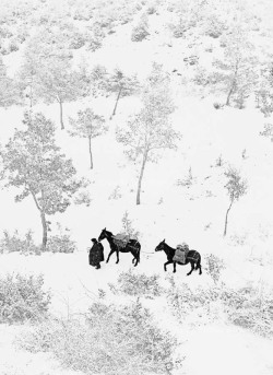 wonderfulambiguity:  Fulvio Roiter, Umbria, 1954 