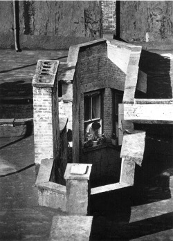 luzfosca:  André Kertész Woman in Window Looking Down Air Shaft,