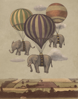 thedownfalloftrying:  Flight of the Elephants by Terry Fan 