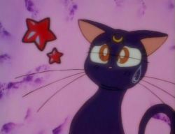 .:: Sailor Moon ::.