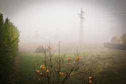 Panorama November 18, 2011 • 10.10 am, Padua, Veneto (Italy)