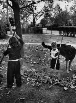 Autumn Leaves photo by Loomis Dean; Bakersfield, 1953