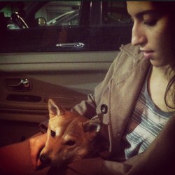 Taking Dagny home. (Taken with instagram)