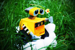 supermaddie:  Photography Work - Wall E   OH MY GOODNESS