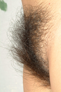 hairymex.tumblr.com/post/14054100033/