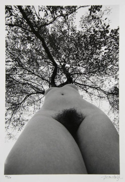 nevver:  Tree hugger