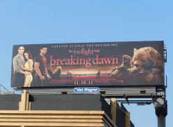 I keep seeing this billboard for that new Twilight movie. The