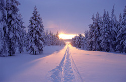 bluepueblo:  Snow Sunset, Vancouver, Canada photo via besttravelphotos